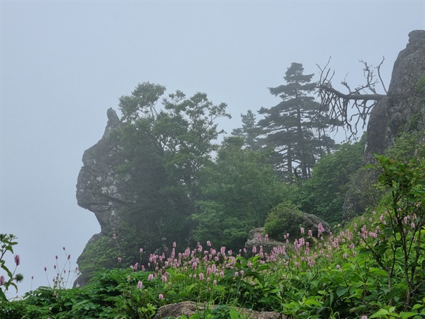  통천문 근처.