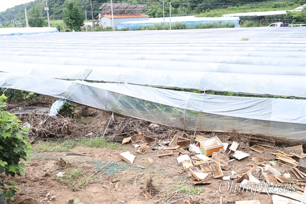  지난 9일과 10일 내린 집중호우로 11일 오전 경북 영천시 화남면 죽곡리에 있는 유곡저수지 둑이 무너지면서 인근 포도밭에 쓰레기와 뻘이 쌓였다.