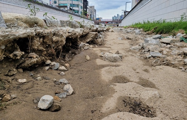  지난 20일 추가 폭우 이후 단계천 상황. 빗물에 천변 잔디가 유실되고 토사가 모두 쓸려내려갔다.