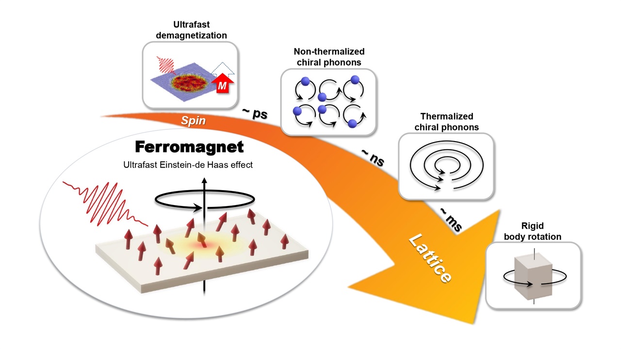 자성 물질 내에서 미시세계 (스핀)-거시세계 (물질 회전)로의 각운동량 전달 과정 광여기를 통해 초고속 자기소거 (ultrafast demagnetization)을 유도하고, 이때 감소된 스핀의 각운동량이 카이랄 포논으로 전달되는 과정을 SrRuO3/SrTiO3 초격자와 시분해 자기광 커효과를 통해 실시간으로 관측할 수 있다.
