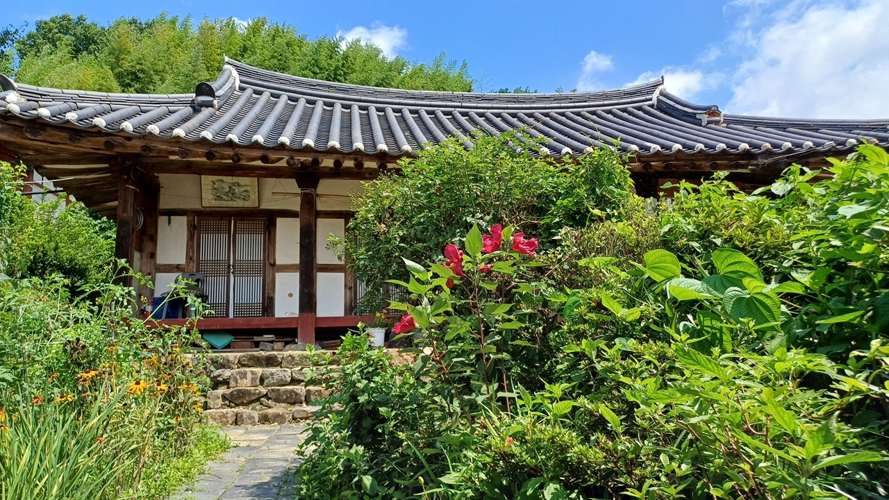  담양향교 관리사. 부용화, 무궁화가 한데 버무려져 멋스럽다.