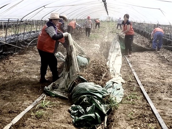  홍성군자원봉사센터가 최근 집중호우로 큰 피해를 입은 부여군에서 수해복구 자원봉사에 나섰다.