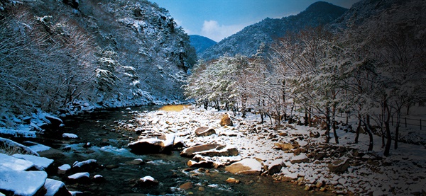  충북 단양군 단양천에 자리잡고 있는 선암계곡 전경 (사진=단양군청 제공)