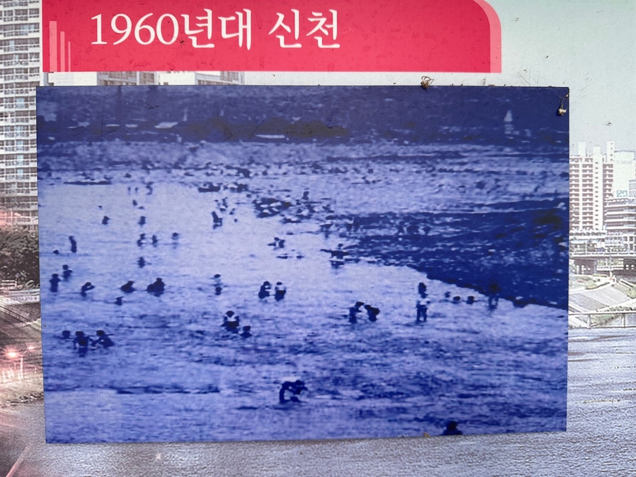  60년대 신천의 모습. 많은 사람들이 신천에서 물놀이를 하고 있다. 되찾아야 할 신천의 오래된 미래다. 