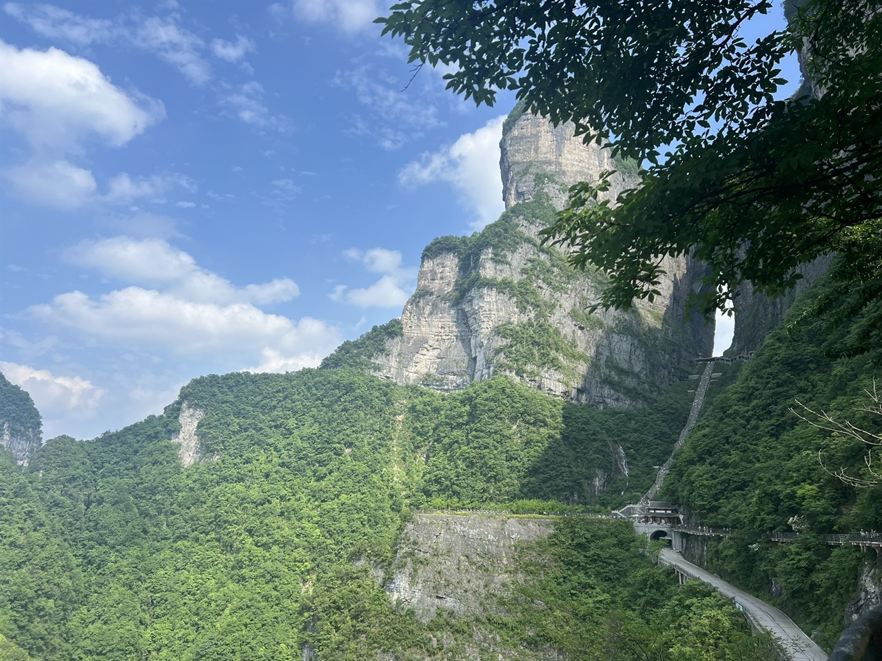 천문산과 천문동 전경 천문산에는 새가 없는데, 그 이유는 벌레가 없기 때문이라고 한다. 