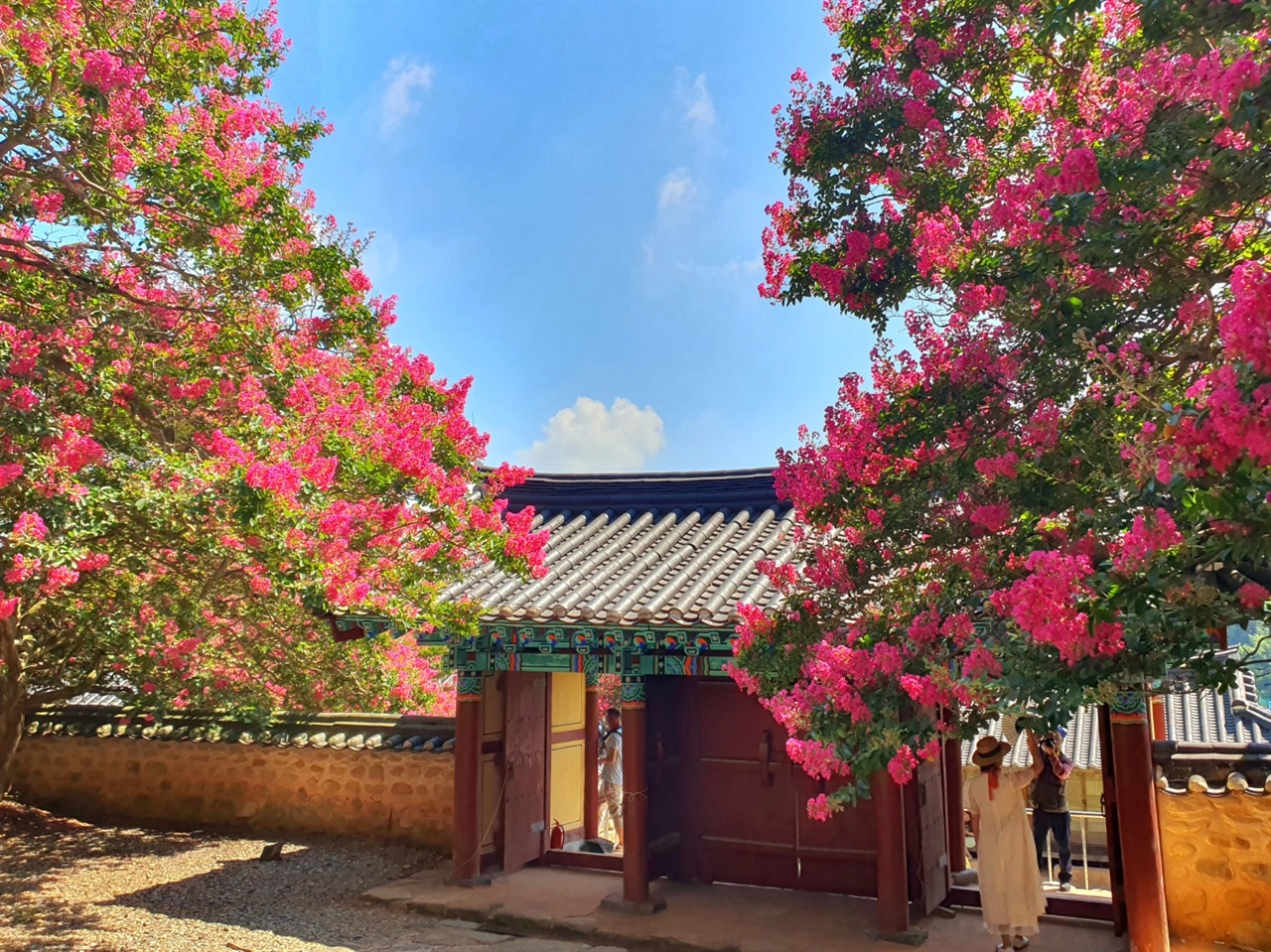 옥구향교내 단군묘건물 뙤약볕에도 사진작가와 모델들의 치열한 촬영