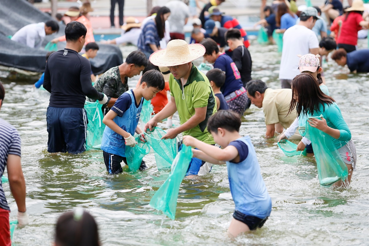  2017년 보성 전어축제 전어잡기 체험 