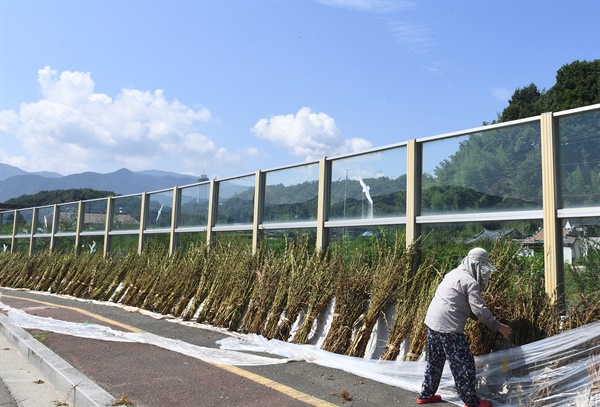  거창군 남상면 월평마을 도로변