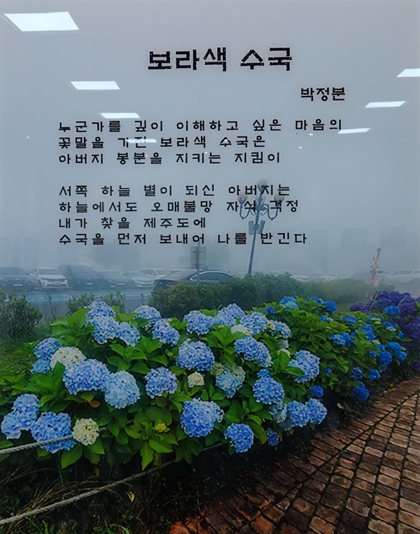 보라색 수국 박정분 작가는 서산 갯마을에서 자랐다. 수국을 좋아하시던 아버지와 수국만 보면 그 모습이 아버지 같은 딸의 마음이 시로 남았다