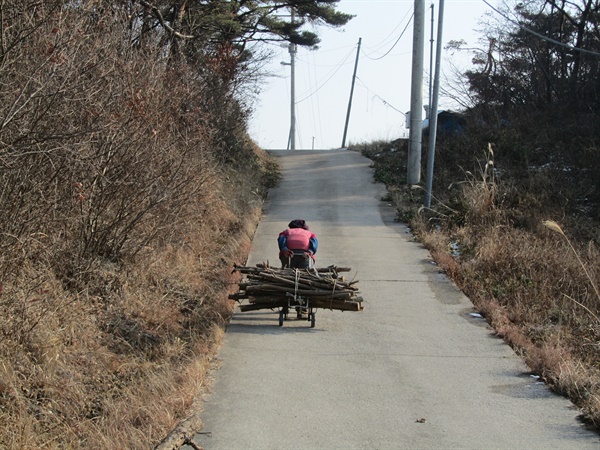  섬 그리고 사람들