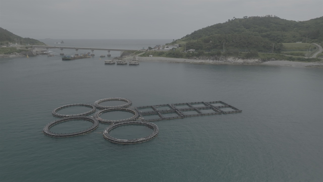 추자도 영흥리 가두리 추자도 주변 해역 해양보호구역 (영흥리)에 설치된 해상 활어 저장 시설