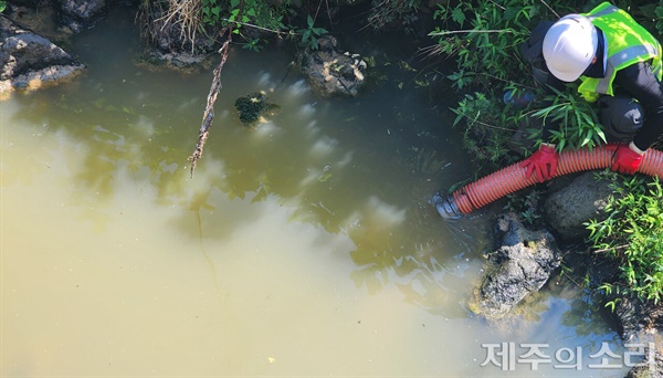  9일 오전 오수를 빼내기 위해 호스를 가져다 대고 있는 작업자.