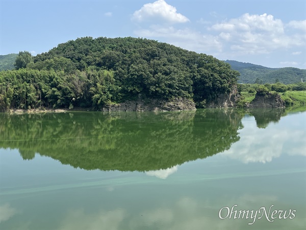  8월 11일 합천창녕보 상류 도동서원 앞쪽 낙동강 녹조.