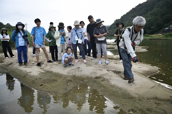  야생동물 전문가 박병권 박사의 안내로 미호강에서 수달의 흔적을 찾고 있다. 