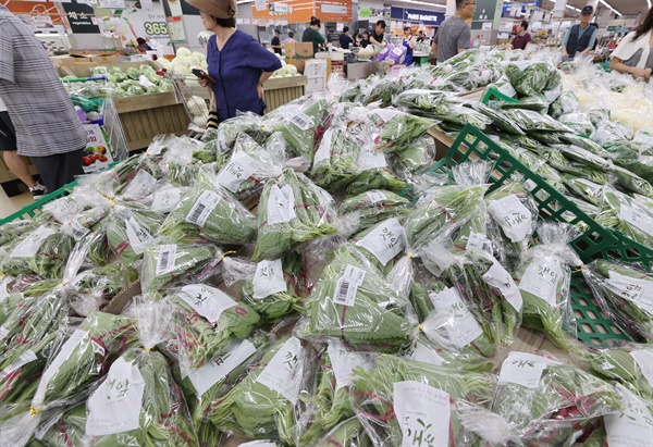  마트에 진열된 깻잎들. 화장실 가는 시간도 아껴 일하는 농업 노동자들이 있다.