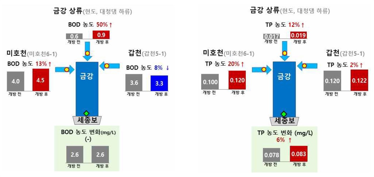 <보 개방 전(2013년 ∼ 2016년)·후(2018년 ∼ 2021년) 평균 BOD·T-P 수질 변화> ※ 세종보 유량 77.8 ㎥/s(2013년 ∼2021년 평균) 중 갑천, 미호천이 차지하는 비율 각 21%, 44% (갑천 : 16.3 ㎥/s, 미호천 34.0 ㎥/s), 4대강 보 개방 모니터링 종합분석 보고서(2017년 6월 ~ 2021년 12월),