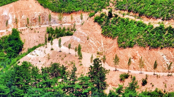  충북 제천시 산림의 임도조성사업 모습. 산림 내 도로조성을 위해서는 필연적으로 벌목과 산림사면 상부의 절토 및 하부의 성토가 수반된다. 이러한 벌목과 지형의 변형은 자연스레 산사태 급증으로 이어진다. (사진: 최병성 기후재난연구소 상임대표)