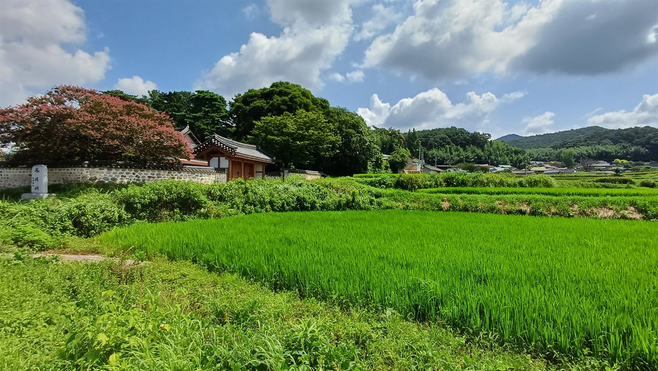  거북선을 설계한 나대용 나고 자란 나주 오륜마을. 배롱나무꽃으로 둘러싸인 곳이 금성나씨 사당 봉강사다.