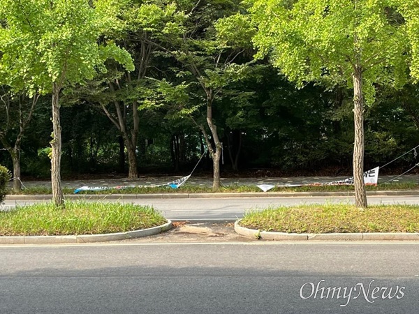  23일 독립기념관 정문 앞 1km 구간에 설치됐었던 '김형석 독립기념관장 아웃' 현수막들이 끈이 풀린 상태로 바닥에 떨어져 있다. <오마이뉴스> 확인 결과, 천안 동남구청이 현수막 10개를 철거했다. 