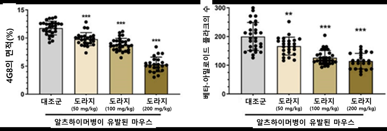  알츠하이머병 마우스의 뇌에서 국산 도라지 추출물에 의한 베타-아밀로이드 축적 억제 효과