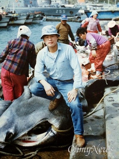 돌묵상어(물치) 해체작업하는 흑산도 어민들 1990년대 전남 신안 흑산도 예리항에서 어민 여럿이 달려들어 돌묵상어를 해체하는 모습. 흑산도 홍어잡이 어선 천사2호 선주 이승호(56)씨는 "흑산도 사람들은 돌묵상어가 아니라 '물치'로 불렀다. 1990년대까지만 해도 흔하게 잡혔던 어종인데 요즘은 보기가 힘들다"고 말했다. 돌묵상어 대가리 위에 올라선 이가 청년 시절 이승호 선주다. 1801~1814년 흑산도에서 유배생활을 하던 손암 정약전(1758~1816)은 자산어보에서 상어 관련 기록을 다수 남겼다. 1960년대까지만 해도 흑산도는 상어 잡이로도 유명한 곳이었다.