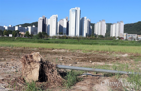  갑천야구공원. 망가진 시설물이 이곳이 야구장이었음을 짐작케 한다.