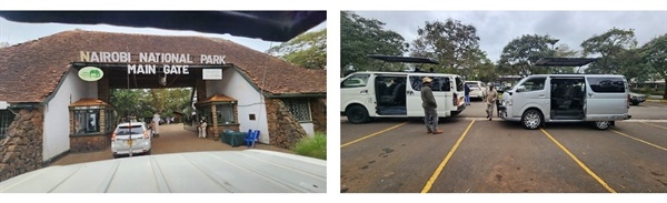 나이로비 국립공원 입구와 사파리 투어 차량 케냐 수도에 있는 나이로비 국립공원에서 지붕이 뚫린 차를 타고 사파리 투어를 하였다. 차량은 지프도 있고 타는 사람 수에 따라 다양한 종류의 차량이 있었다.