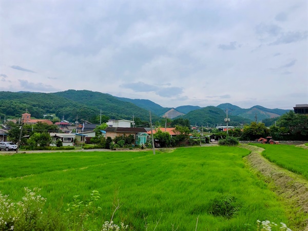  농촌 풍경(자료사진). 엄마는 경북 의성이라는 작은 산촌 마을에서 5남매 중 맏이로 태어났다.