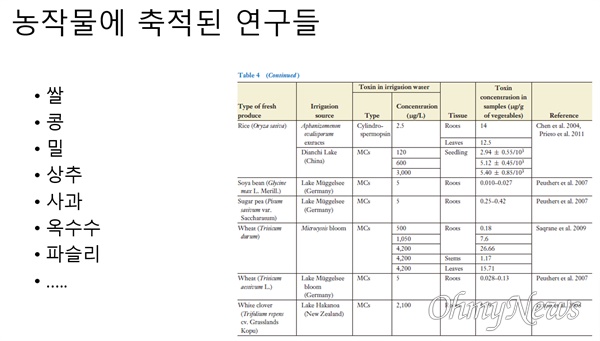  농작물 녹조 독성 연구