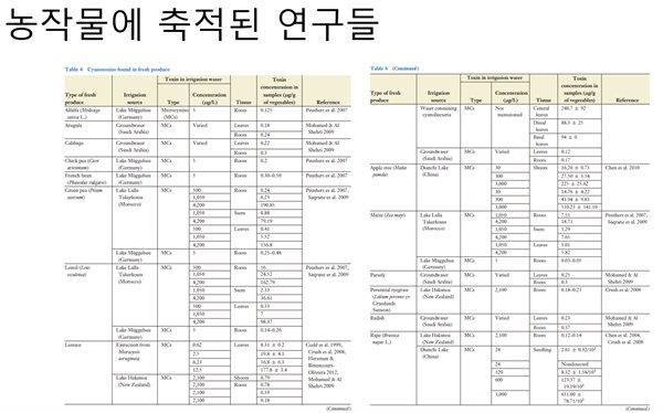  농작물 녹조 독성 연구