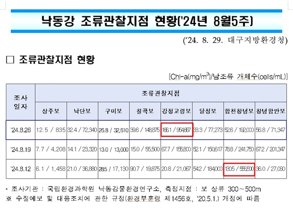  8월 5주차 낙동강 녹조조사에서 강정고령보가 조류대발생인 100만 셀에 육박했다.