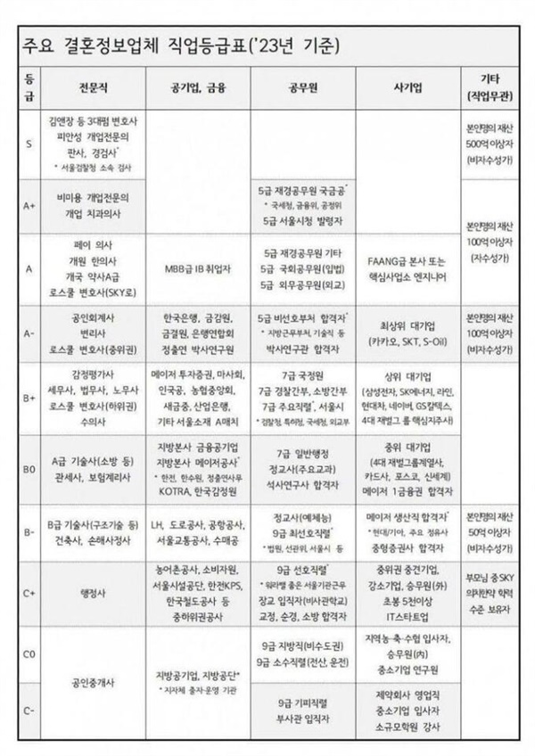  각종 온라인 커뮤니티에서 화제가 됐던 23년 '주요 결혼정보업체 직업등급표'다. S등급에는 3대로펌 변호사와 개업전문의, 판사 등이 있고, 가장 낮은 등급에 9급 공무원이나 중소기업 임직원 등이 배치됐다.