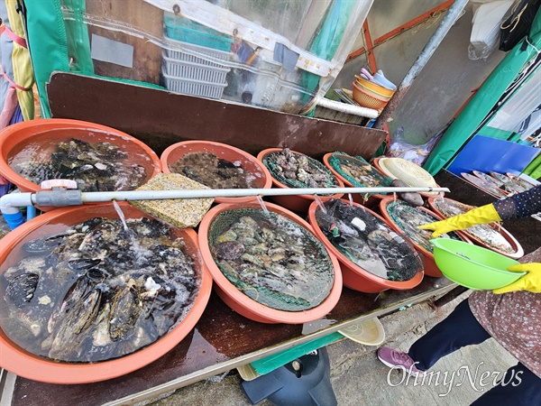 홍도 명물 '해녀포차' 홍도 방파제 주변 '해녀포차' 앞에 손님을 기다리는 싱싱한 해산물. 홍도는 전남 신안군 흑산면에 딸린 섬이다. 2024. 8. 1