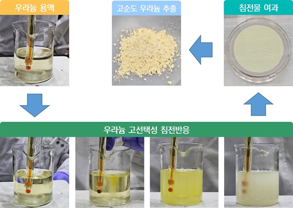  우라늄 용액에서 침전반응을 통해 고순도 우라늄을 추출하고 있다.