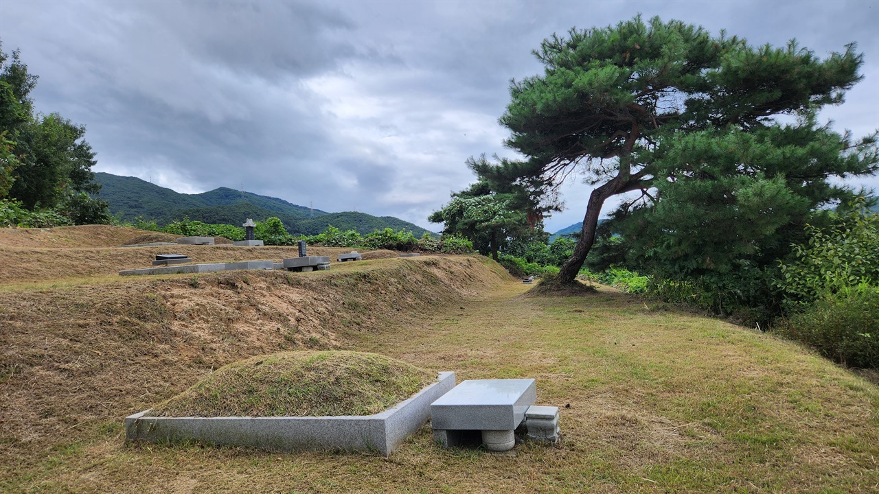 벌초가 된 말끔한 선산 풍경 업체에 의뢰하여 벌초를 하게 되면서 가족들이 모여 벌초를 했던 옛날이 그리워진다.