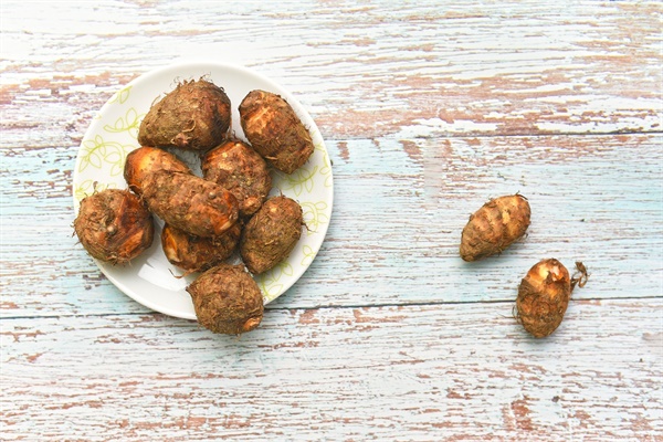  어릴 땐 궁금했다. 사람들은 정말 맛있어서 토란을 먹는 걸까?