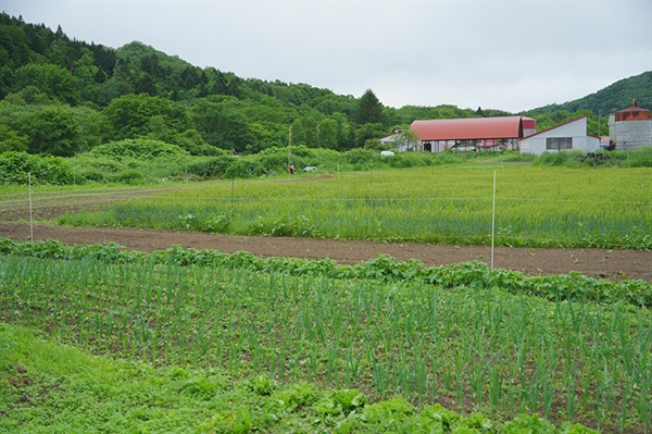  우츠츠노 모리