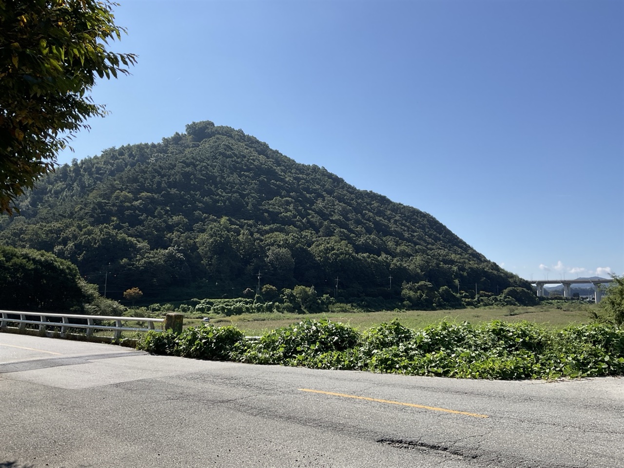  임실 섬진강 옆 성미산(성미산성)