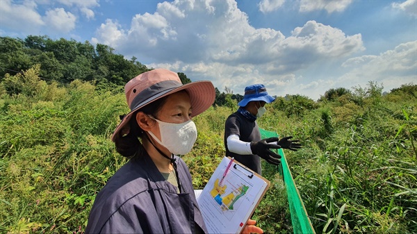  맹꽁이 서식지를 관찰하는 노훈심 안양군포의왕 환경운동연합 사무국장