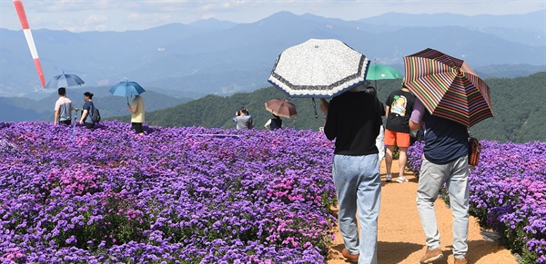  거창군 감악산 별바람언덕