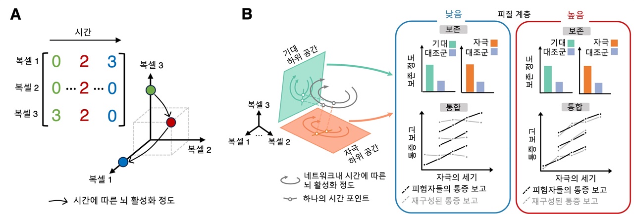 뇌의 활성화 정도를 표상하는 공간과 그 안에서 일어나는 통증 정보의 보존과 통합 A는 뇌의 활성화 정도와 이것이 어떻게 공간상에서 표상될 수 있는지를 보여준다. A의 왼쪽은 fMRI 복셀(fMRI로 촬영된 뇌 영역의 단위) 3개의 시간에 따른 활성화 정도를 나타내고, 오른쪽은 각 복셀들의 활성화 정도가 축이 되어 3차원 공간상에서 표시된 결과이다. 왼쪽의 숫자는 오른쪽 공간상에서 같은 색의 점으로 표현했다. B의 왼쪽에서 기대 하위 공간은 통증에 대한 기대치 정보를, 자극 하위 공간은 통증에 대한 자극의 세기 정보를 보존하는 하위 공간을 나타낸다. 네트워크 복셀들의 활성화 정도를 각각의 하위 공간에 투사시키고, 그 정보들을 기반으로 각 네트워크가 두 정보를 보존 또는 통합하는지를 연구했다. 결과적으로 낮은 피질계층 영역에서는 두 정보가 모두 보존됐지만 피험자들의 통증 보고가 재구성(통합)되지 않았고, 높은 피질 계층 영역에서는 두 정보에 대한 보존과 통합이 모두 일어났다.