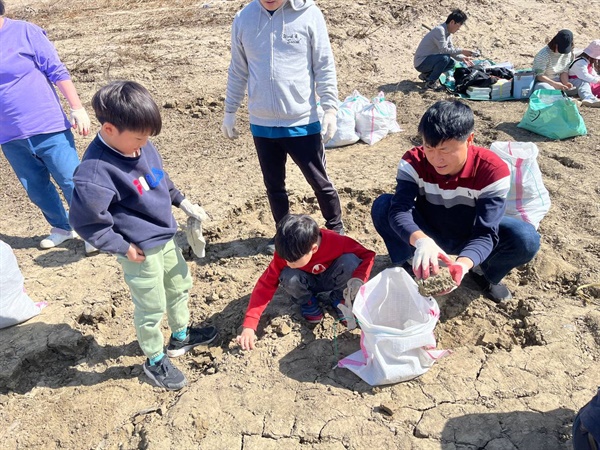  공주보 담수로 뻘이 되어버린 고마나루. 뻘을 걷어내며 물떼새들이 알 낳을 자리를 만들어주고 있는 시민들.