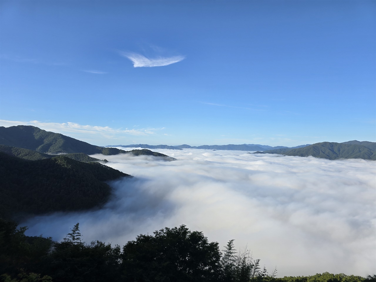  구례 사성암에서 바라본 섬진강 운해