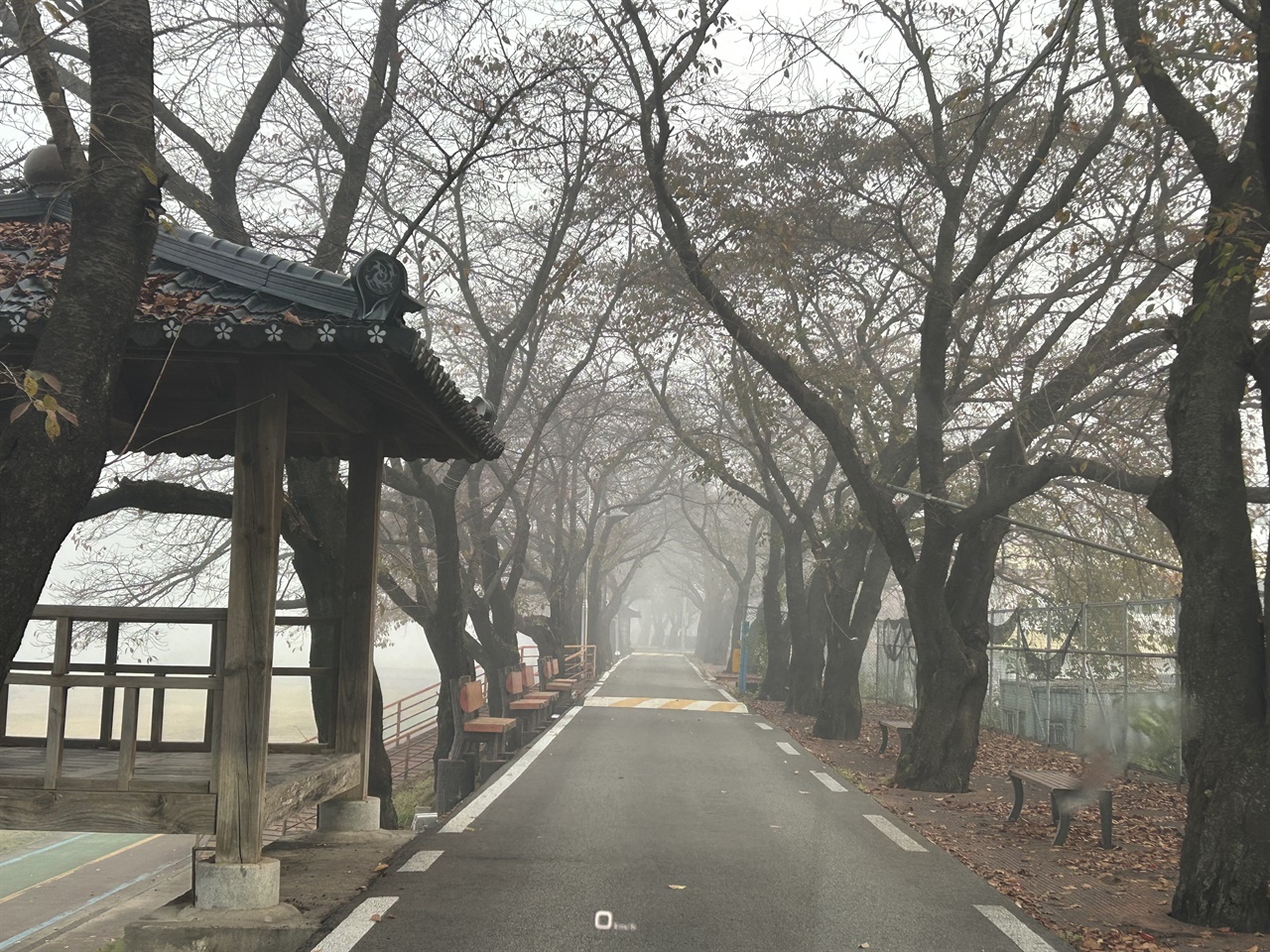 운동 길에 만난 풍경 새벽 운동 길에 만나는 신선함은 떨칠 수 없다. 잔잔한 길을 따라 시냇물이 흐르고, 소박한 나무 밑에 깔린 하얀 안개가 마음을 안정시켜준다. 오늘도 흠뻑 땀을 흘리고 와야지. 살아 있는 근육을 깨우며 하루를 시작하는 운동길은 늘, 행복한 발걸음이다.