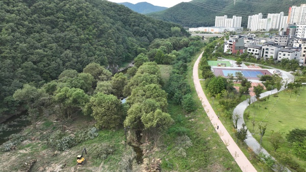  일부 나무가 무참히 잘려나갔지만 아직 많은 나무들이 온전히 남아있다. 저 나무들을 보호해야 할 것이다.