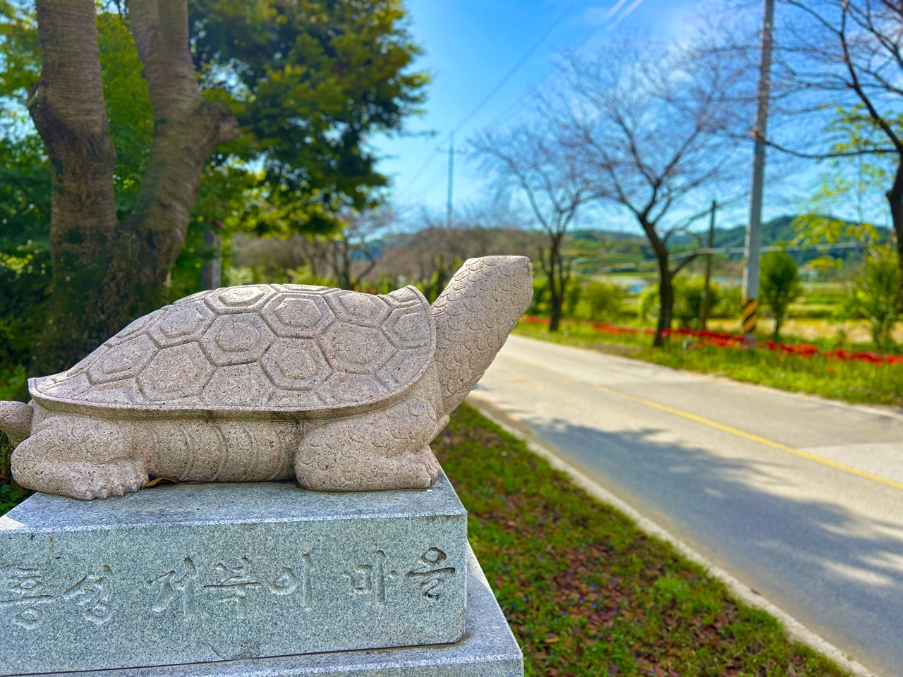  거북이마을 누리집에 따르면 구항은 지형이 거북이목처럼 생겨 구산,귀목이라고도 불리며, 거북이 머리가 안쪽으로 향해 내현리라고 불린다.