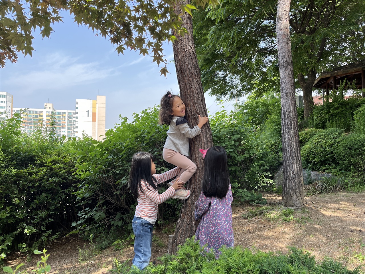 서로 밀어주고 끌어주고 놀이를 통해 서로의 안전한 지지대가 되어주는 아이들. 부모에게도 이러한 믿음과 지지가 필요하다.