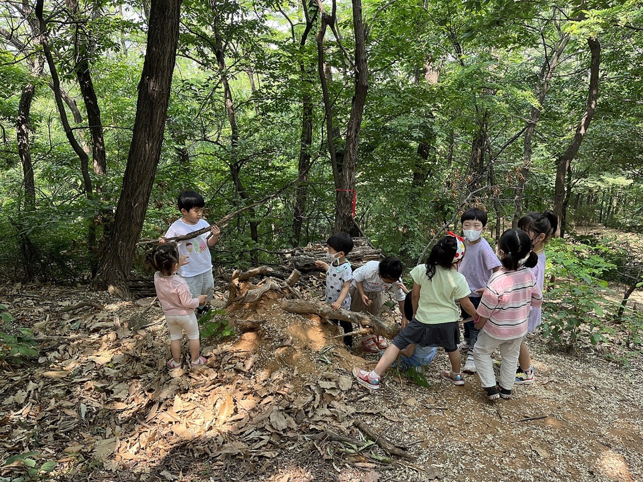 새터산에서 나무집을 짓는 아이들과 놀이를 상의하는 듯한 아이들의 모습입니다. 소중한 나들이 장소가 되어주는 새터산입니다.