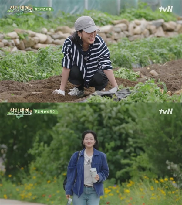  tvN '삼시세끼 라이트'