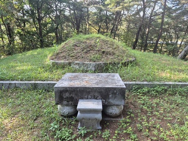  최연국 무덤 봉분 전경. 봉분을 둘러싼 둘레석은 단종 태실지 조성에 사용됐던 지배석이다. (사진=김남균 기자)